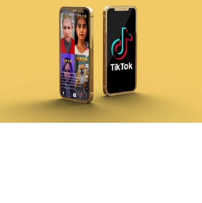 Tiktok downloader 4x downloader4x.net