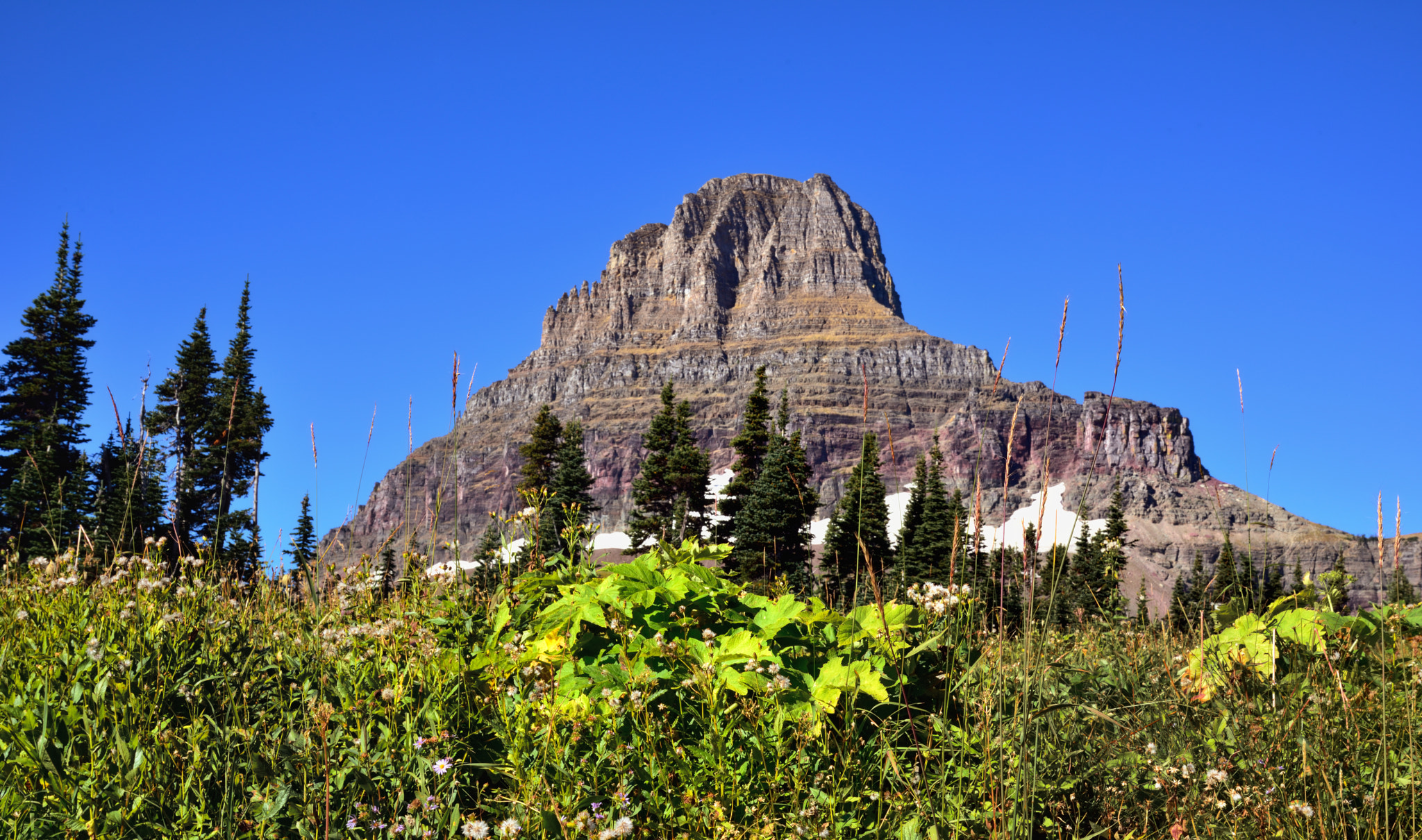 v2?sig=9bc1f6ae2e884b7458378b247bab53b2d737daf9392e10869870047d3165368a