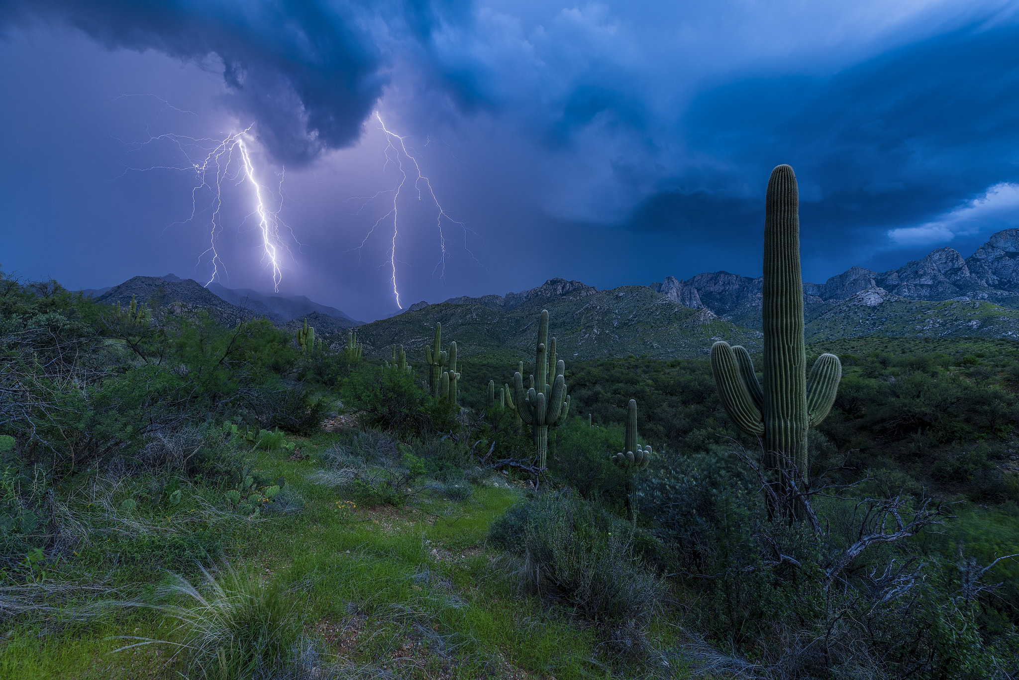 the grass IS greener by Danilo Faria / 500px