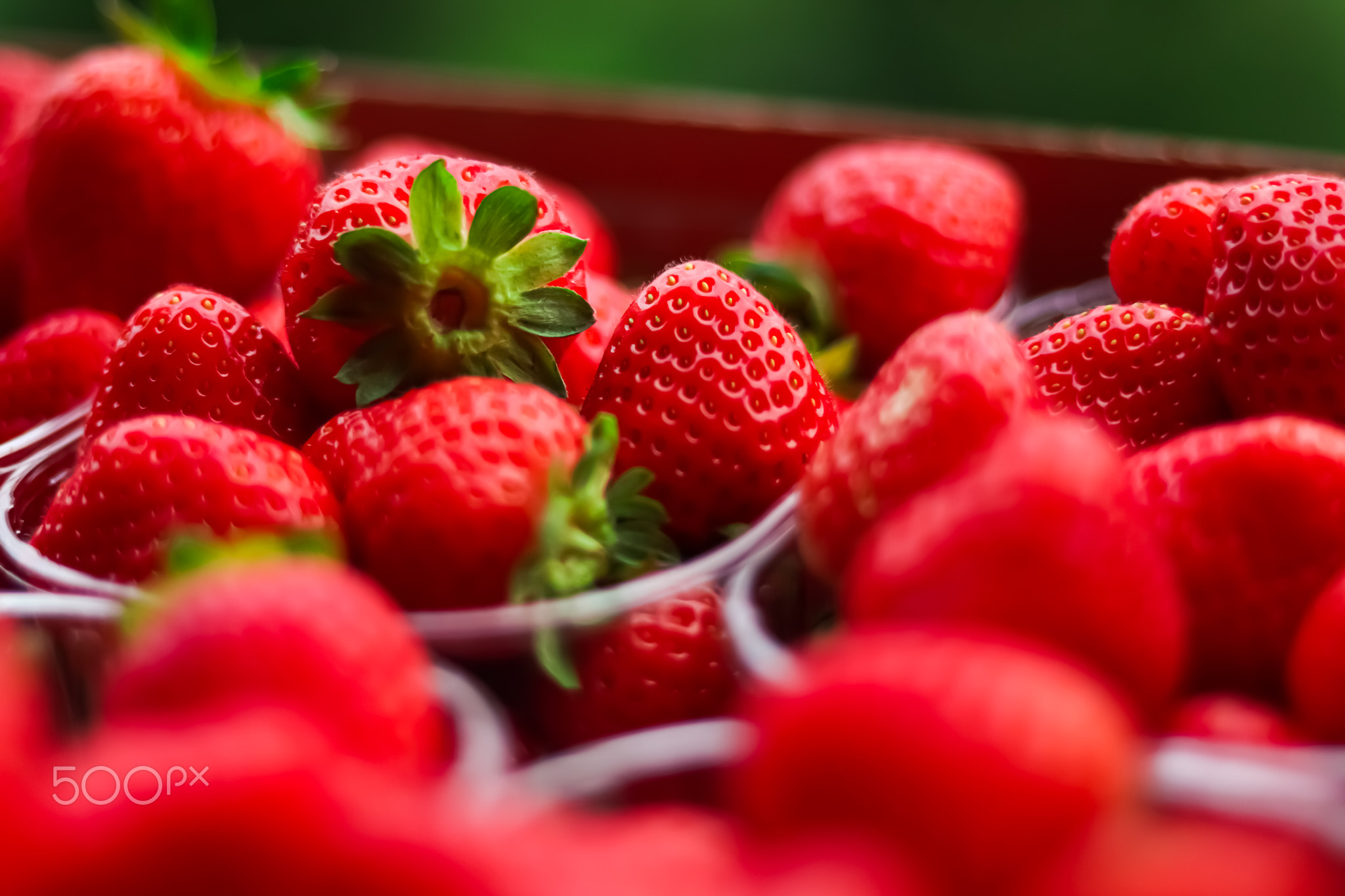 Strawberries packaged in box, sweet ripe perfect strawberry harvest