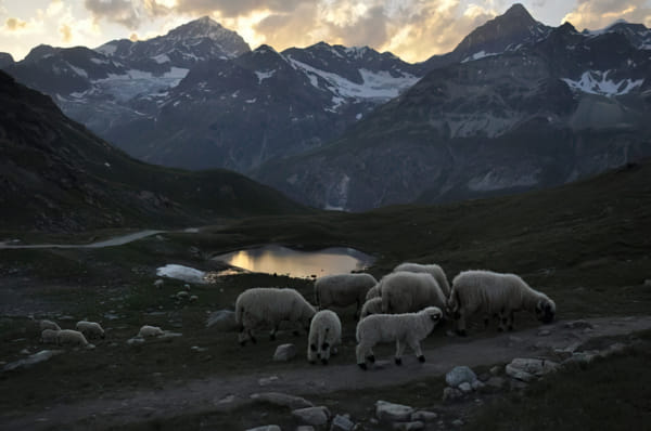 Switzerland - 2018 by Federico on 500px.com