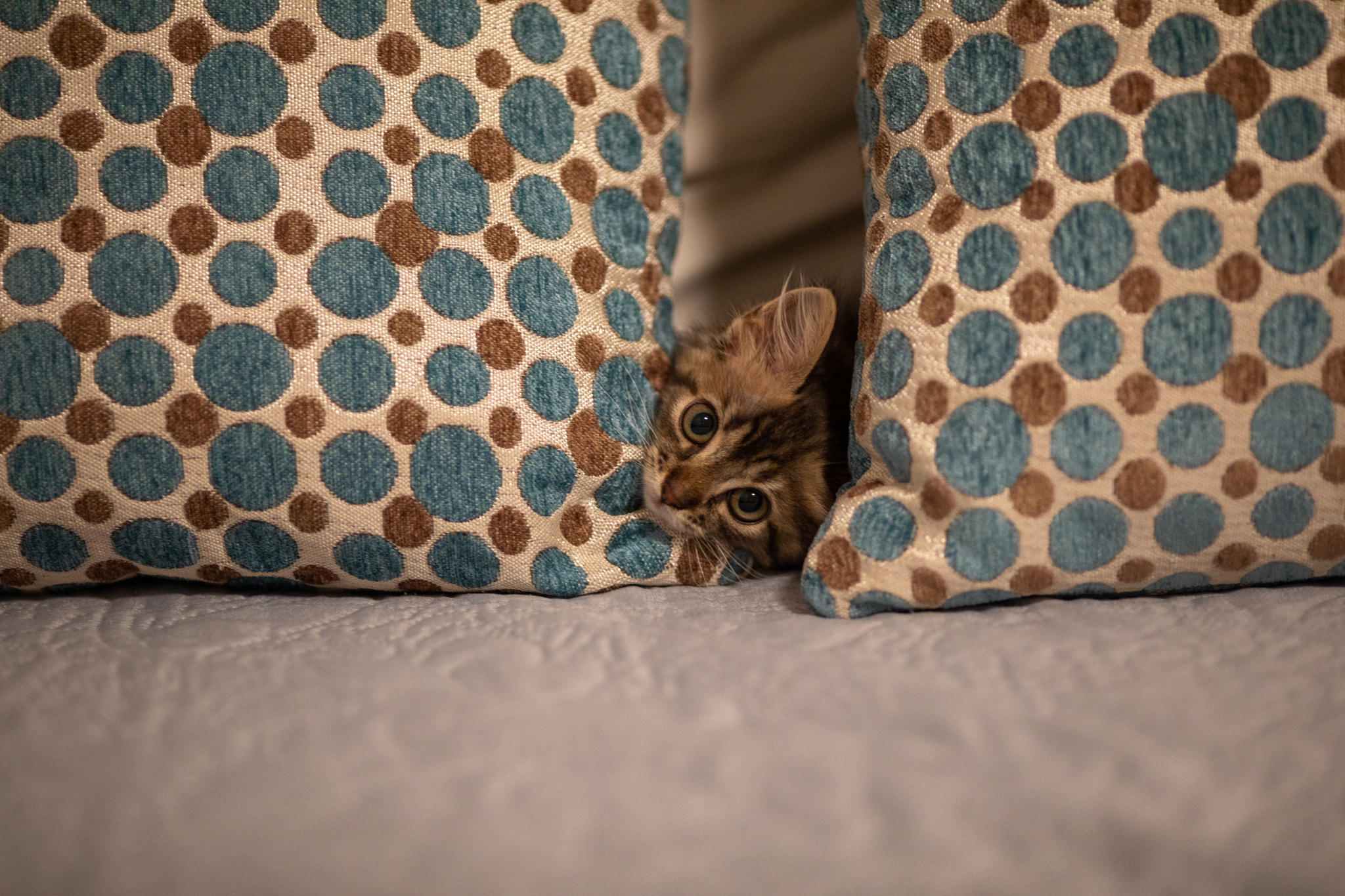 v2?sig=e1e8caab37af37483036dac3790d68225bbf3cf51716cca07396531fc0580fd6