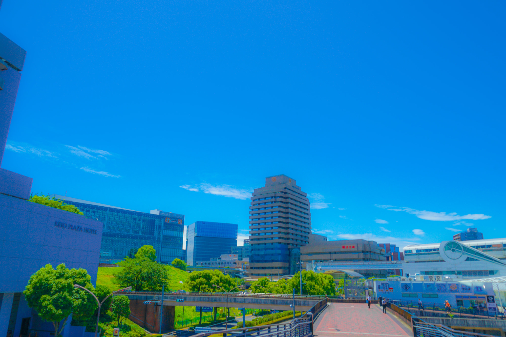 Quarter of the early summer of Tama Center