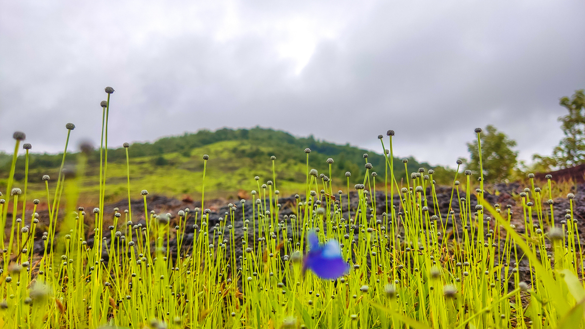 v2?sig=9f66a5a6b2288630ed197ede6ec92fc04b72382f2a02e5e80ed3dc60b6967fbb