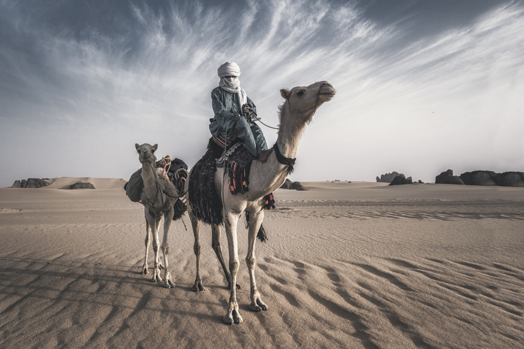 A Journey Through Time: Exploring the Thrilling World of Tuareg Camel Racing and Festivals