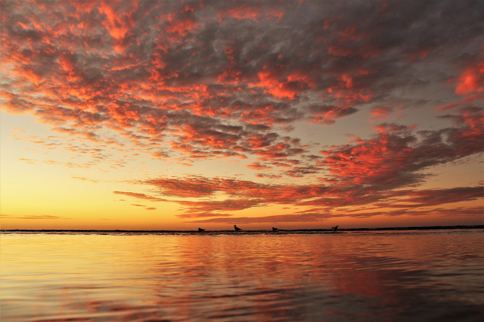 Evening Perspective! by Bruce Prothero / 500px