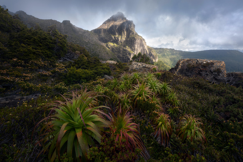 Matriarch by Benjamin Maze on 500px.com