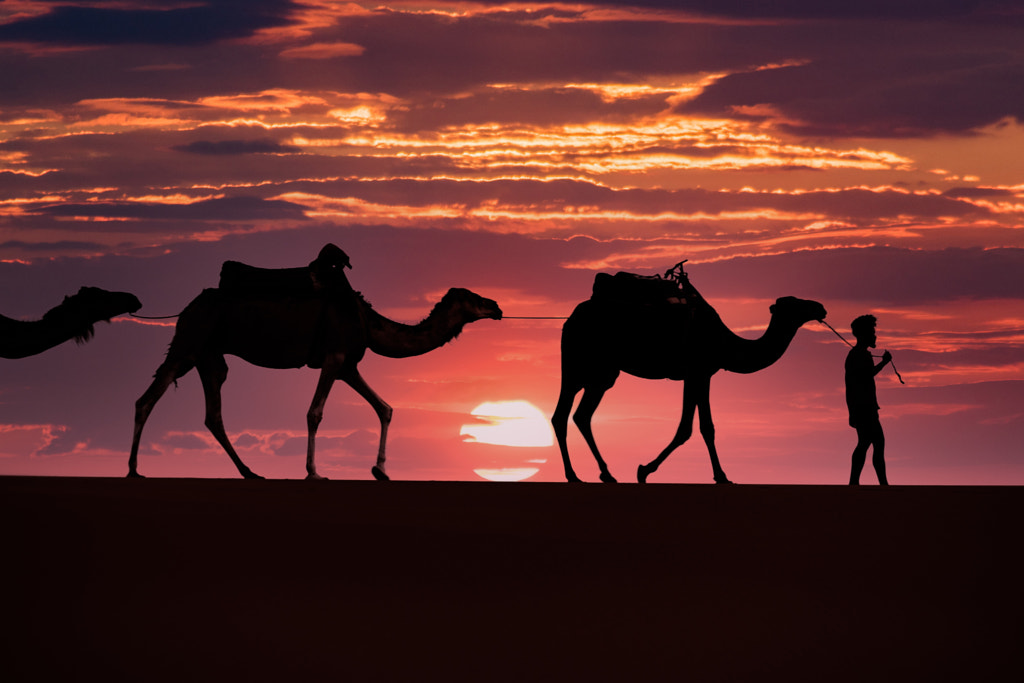 desert boat ??? by Mehdi El Marouazi on 500px.com