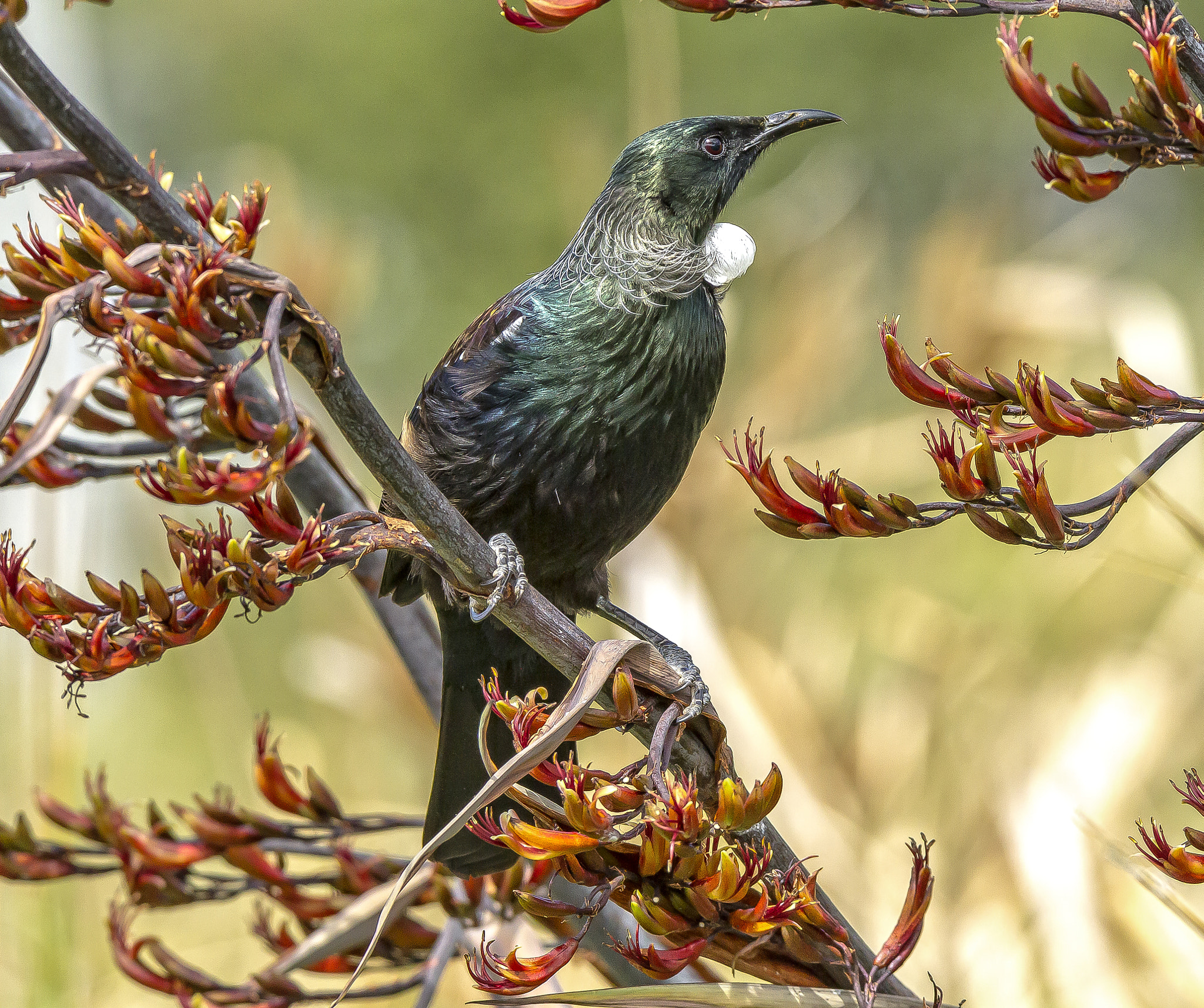 v2?sig=cf8ecc258711ef08328ecd733c7f0c6766a35f189e04e506a74f1da7bf7bfadb