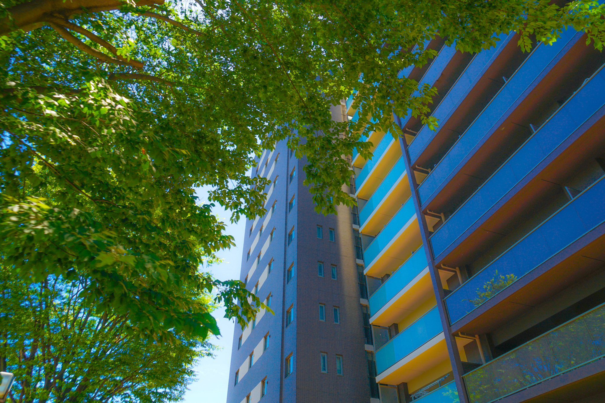 Low angle view of trees and building against sky