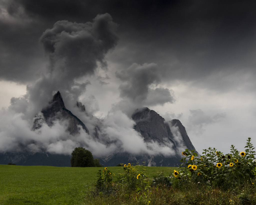 summer is over by andy dauer / 500px