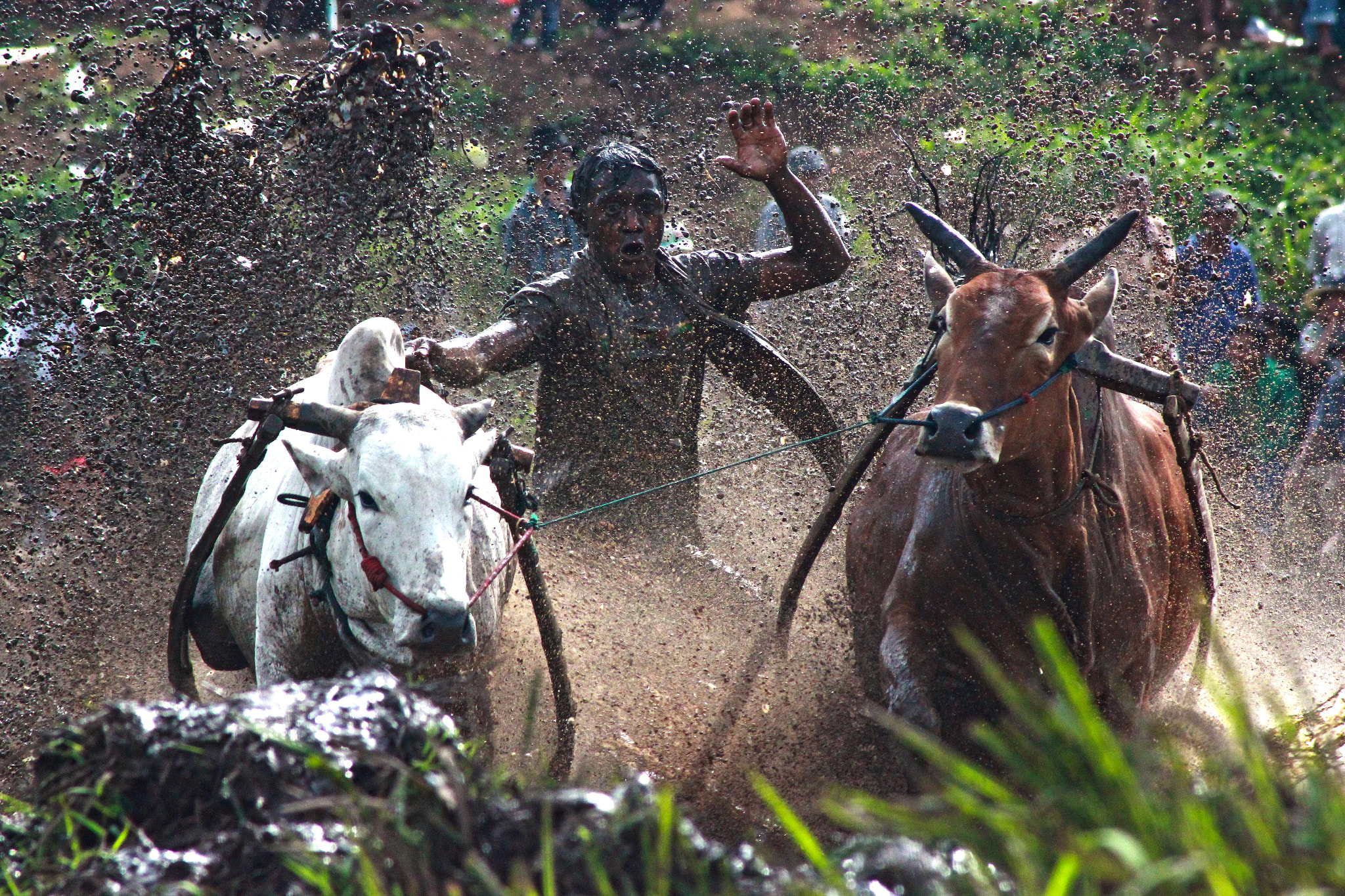 Indonesia traditional game madura