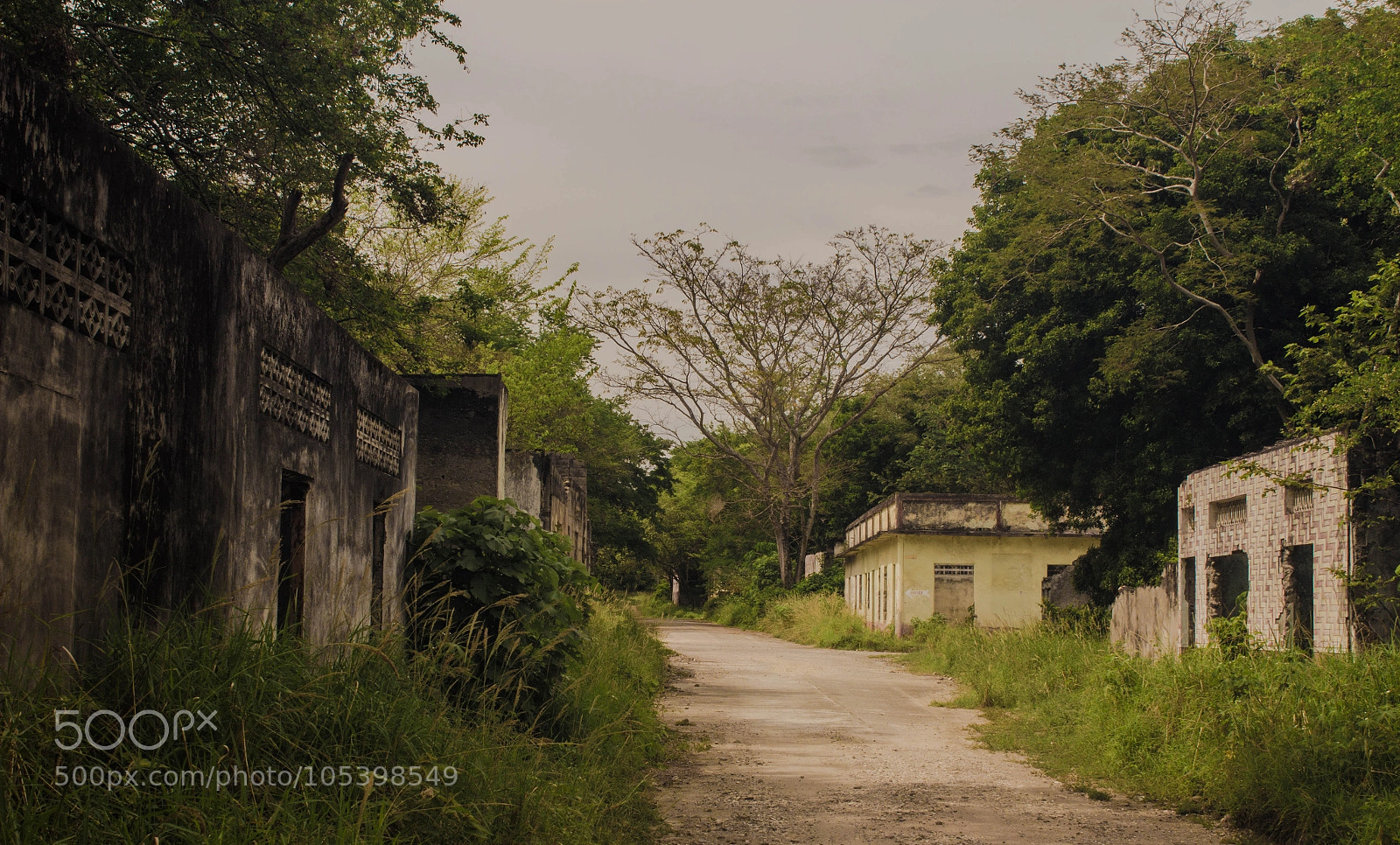 Canon EOS 1200D (EOS Rebel T5 / EOS Kiss X70 / EOS Hi) sample photo. 30 years after the tragedy photography
