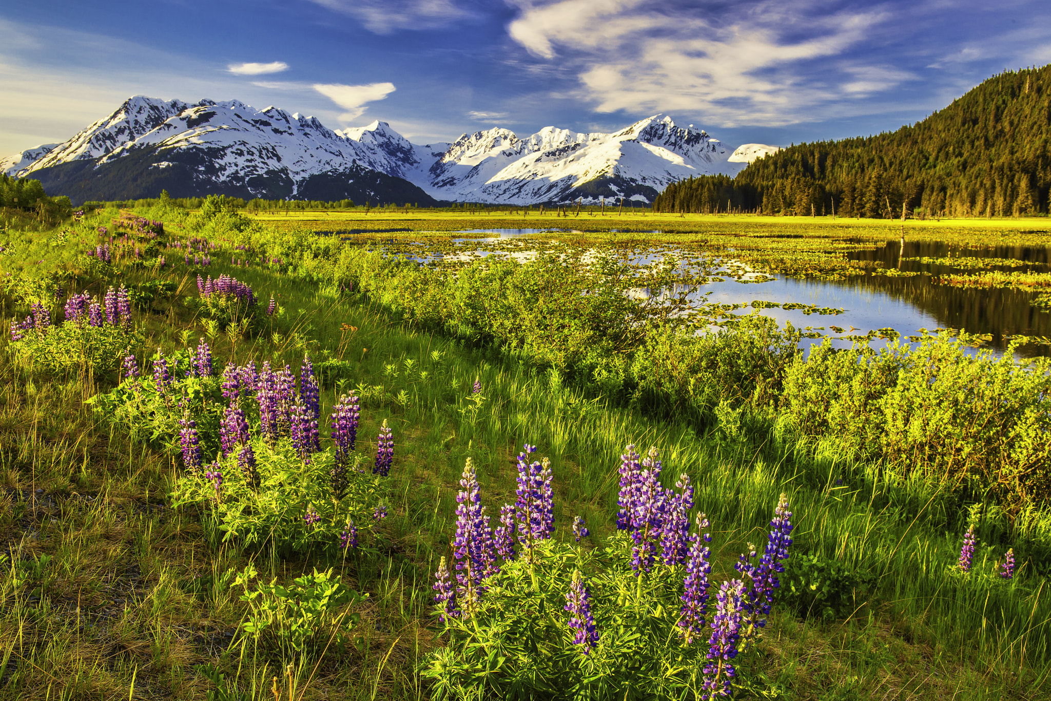 Alaska, Anchorage, Seward Highway, Turnagain Arm, Sunrise, 阿拉斯加, 安克雷奇