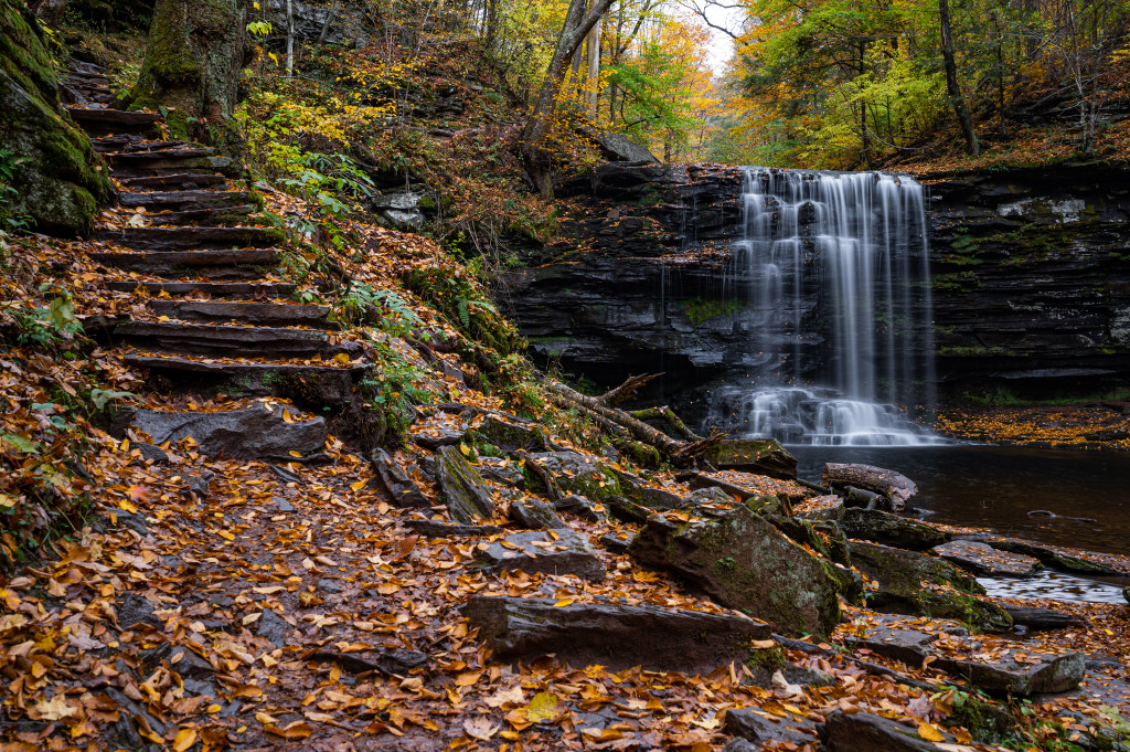Harrison Wright Falls by Shawn Grenninger / 500px