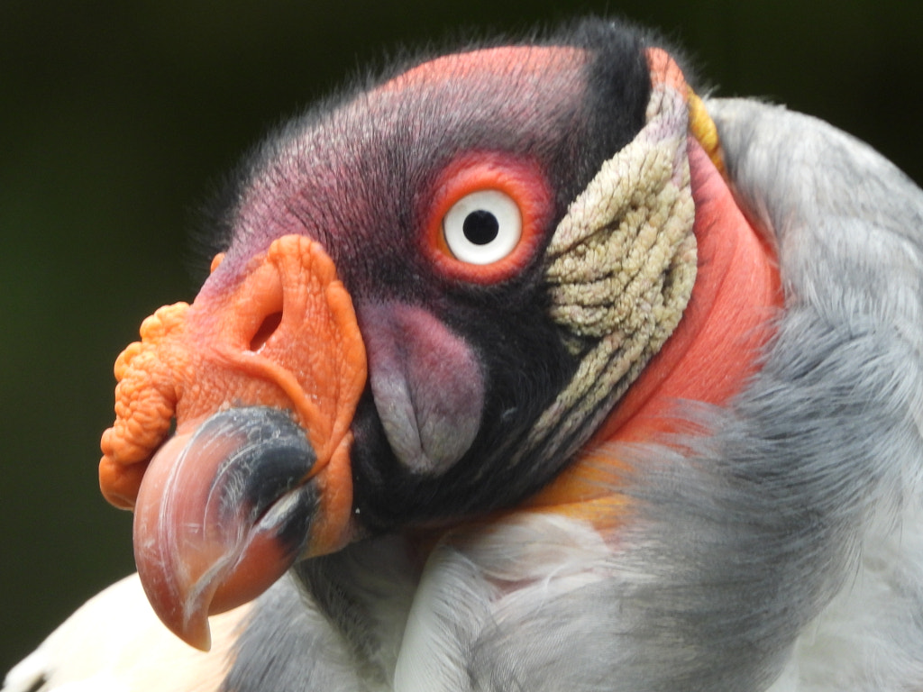 I put up my make-up by Hennie de Vries / 500px