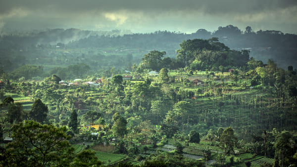 A morning on Bali by Johannes Mayer on 500px.com