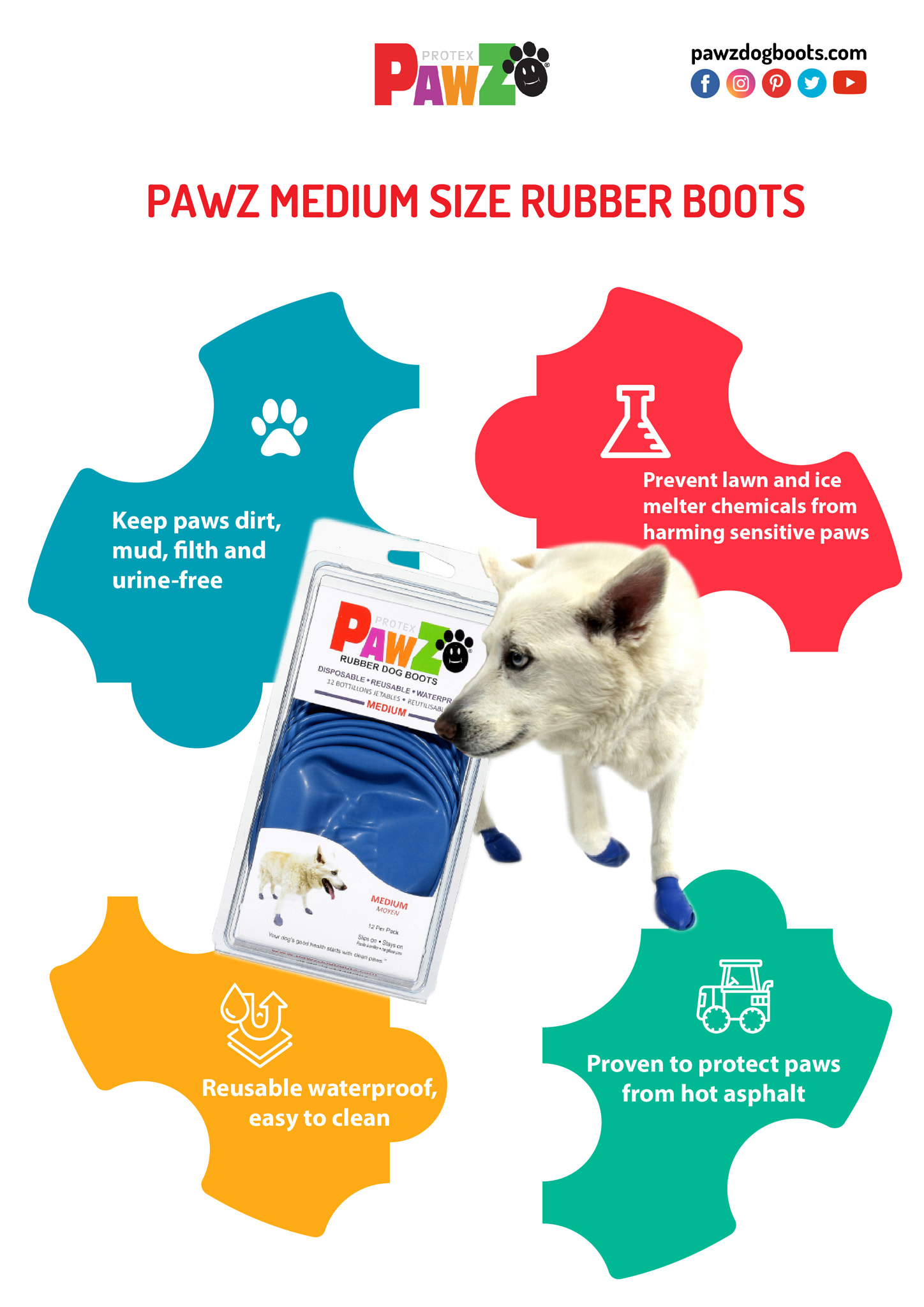 Pawz medium outlet