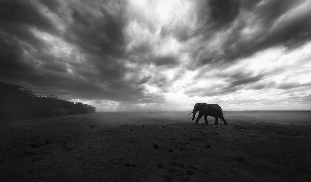 In its world  by Swapnil Deshpande on 500px.com