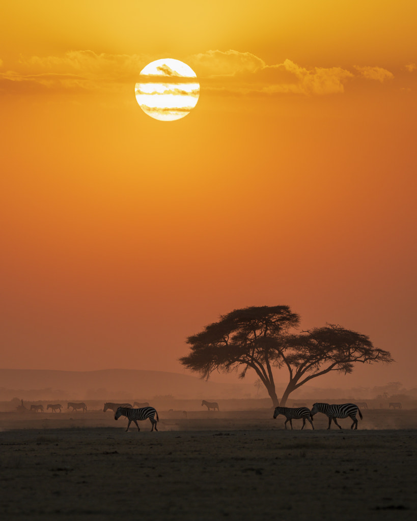 Sunset at Amboseli National Park by Hao Jiang / 500px