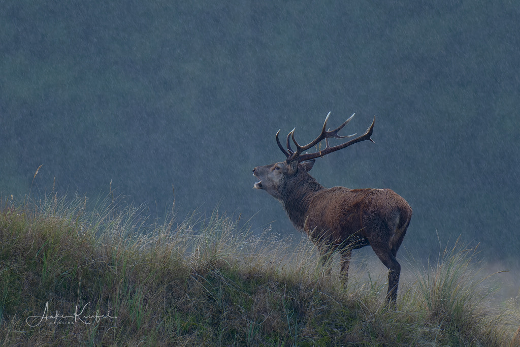 there-is-no-bad-weather-by-anke-kneifel-500px