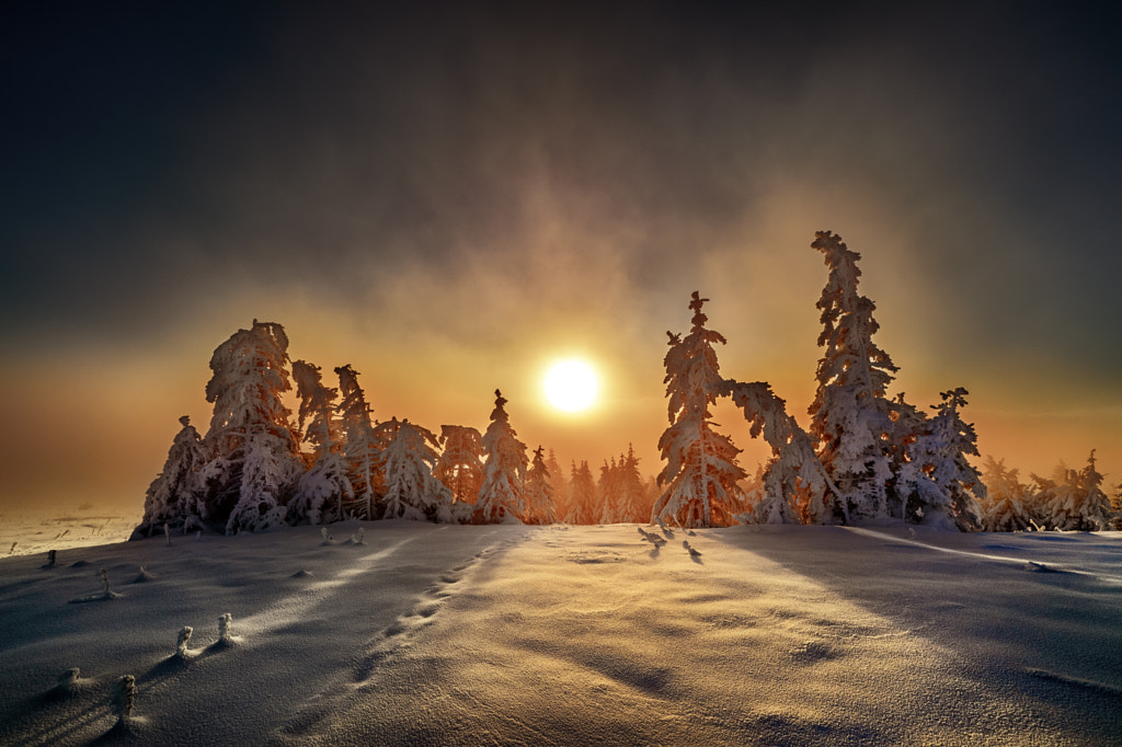 Morning light by Robert Didierjean / 500px