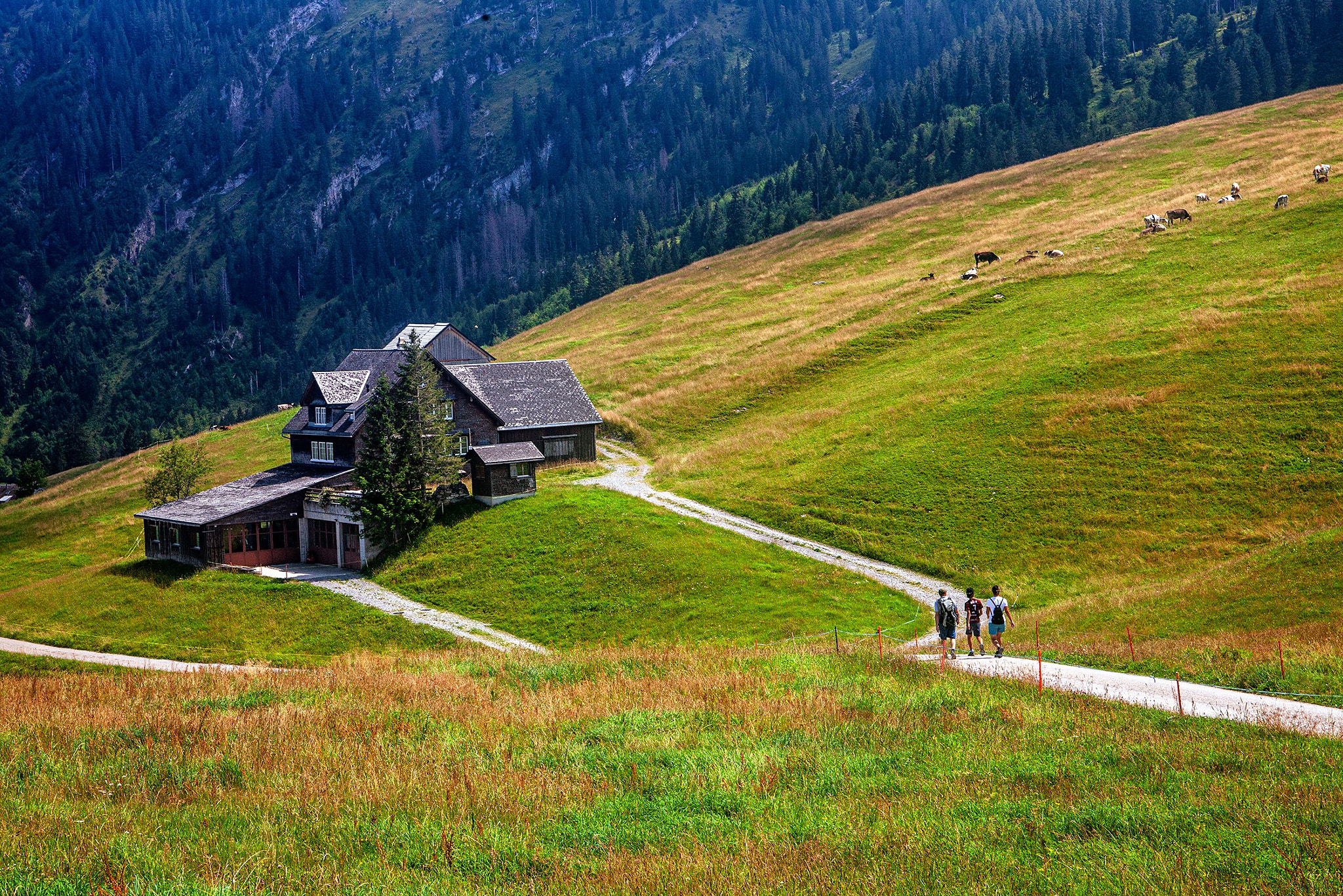 A Swiss Tradition
