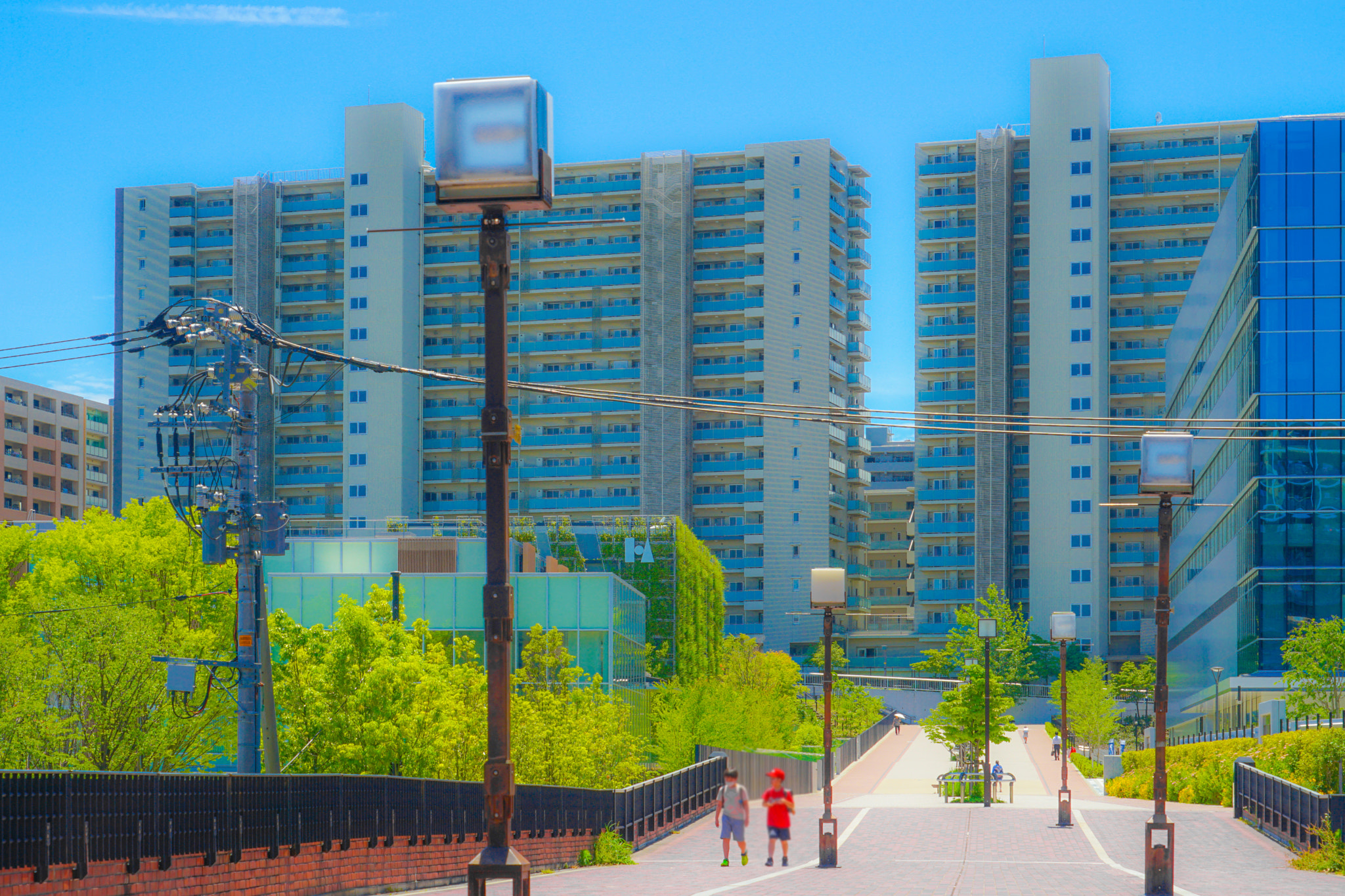 Quarter of the early summer of Tama Center