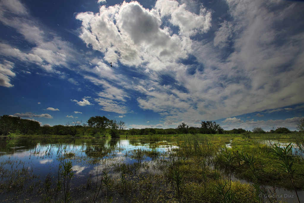 El agua vale más que el oro | Water is worth more than gold by Graciela ...