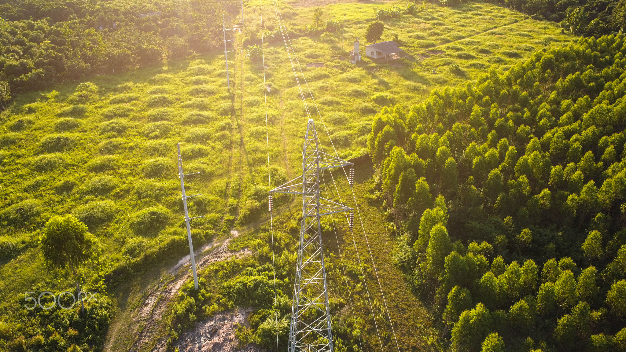 Aerial view of high voltage pylons and power lines near a eucalyptus plantation