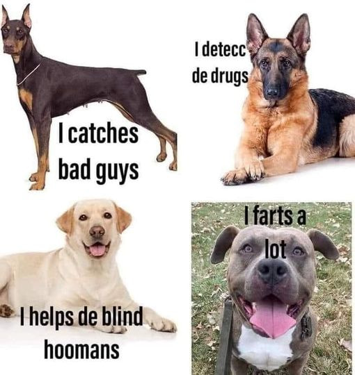 v2?sig=031cd91e18638a7b9ab75a34c1e321c24588879d5954701bbc784de737554f98