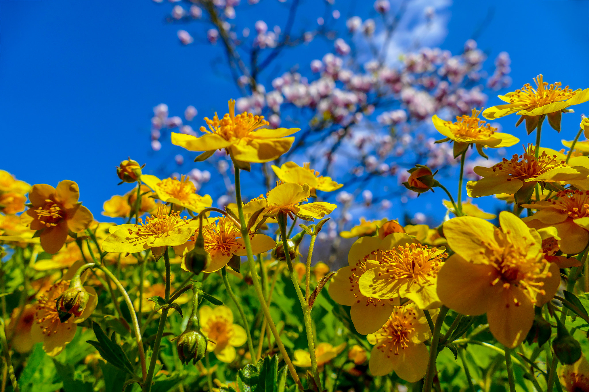 v2?sig=71aa334a6c72c13e48996fdcb43750b4e9c5037638c3488f5210140e8f9d9a5a