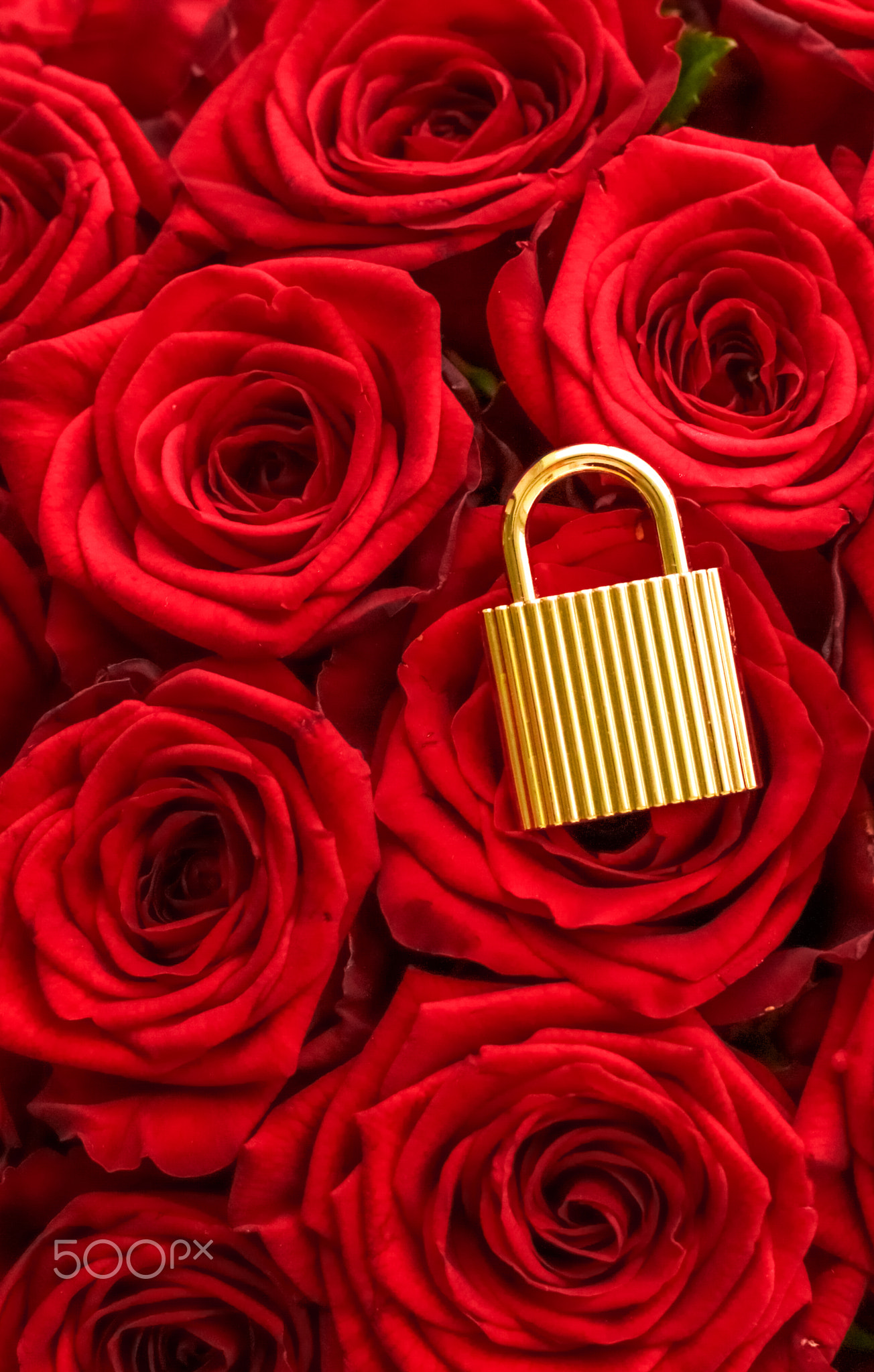 Love lock for Valentines Day card, golden padlock and luxury bouquet