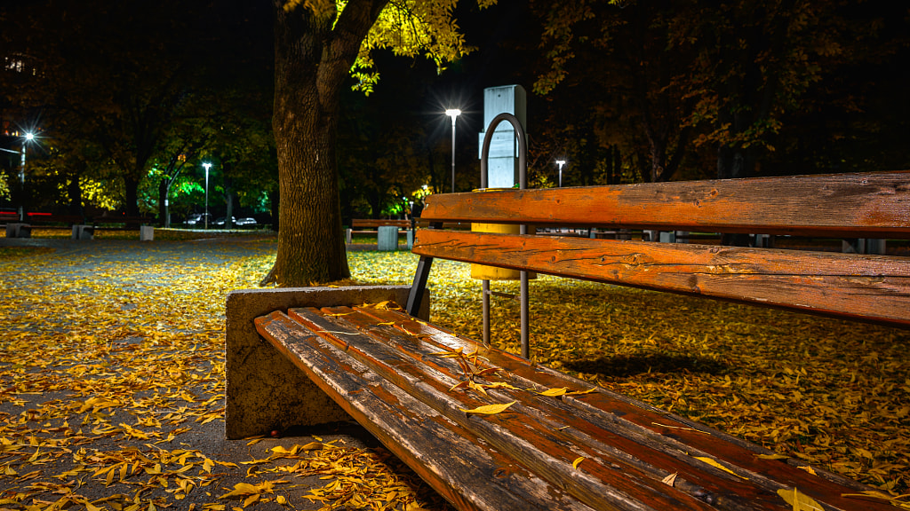 Autumn bench in the park by Milen Mladenov on 500px.com