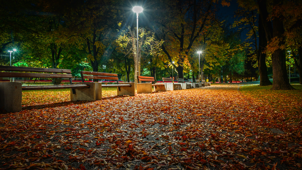 Alley covered with leaves by Milen Mladenov on 500px.com