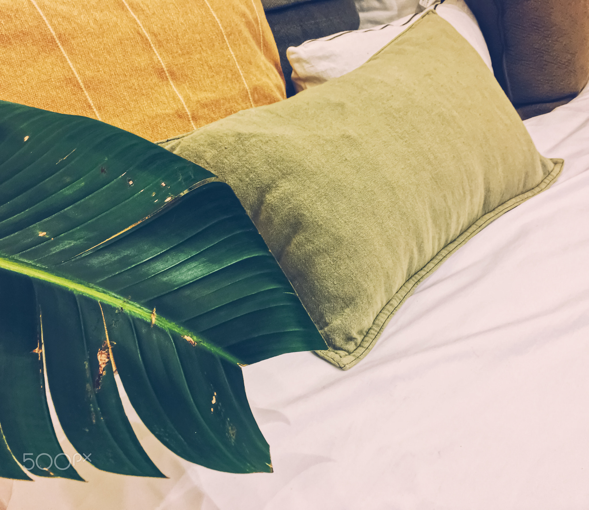 Pillows and cushions on a bed in bedroom for healthy and comfortable