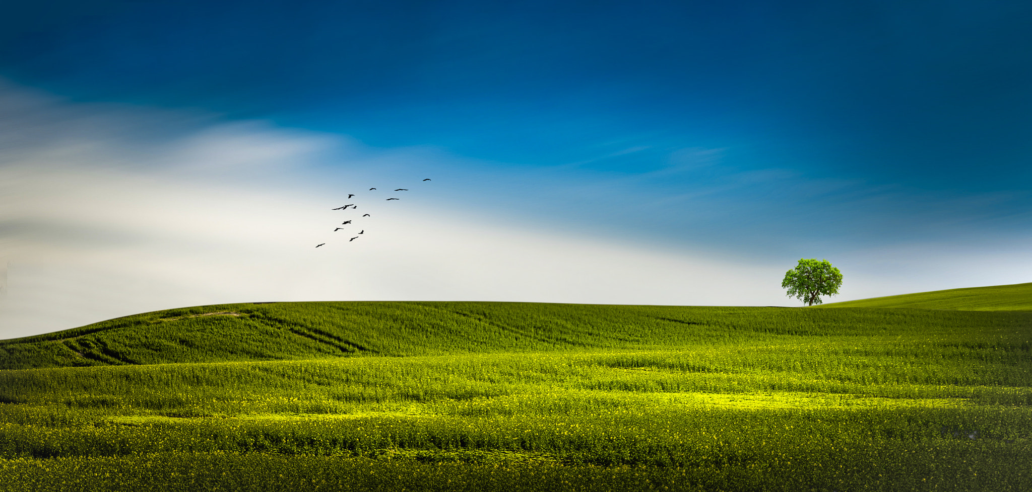 v2?sig=95595f127506f699a10141b8ddca8b44284651cca92e0826a6a03687e3eaaded