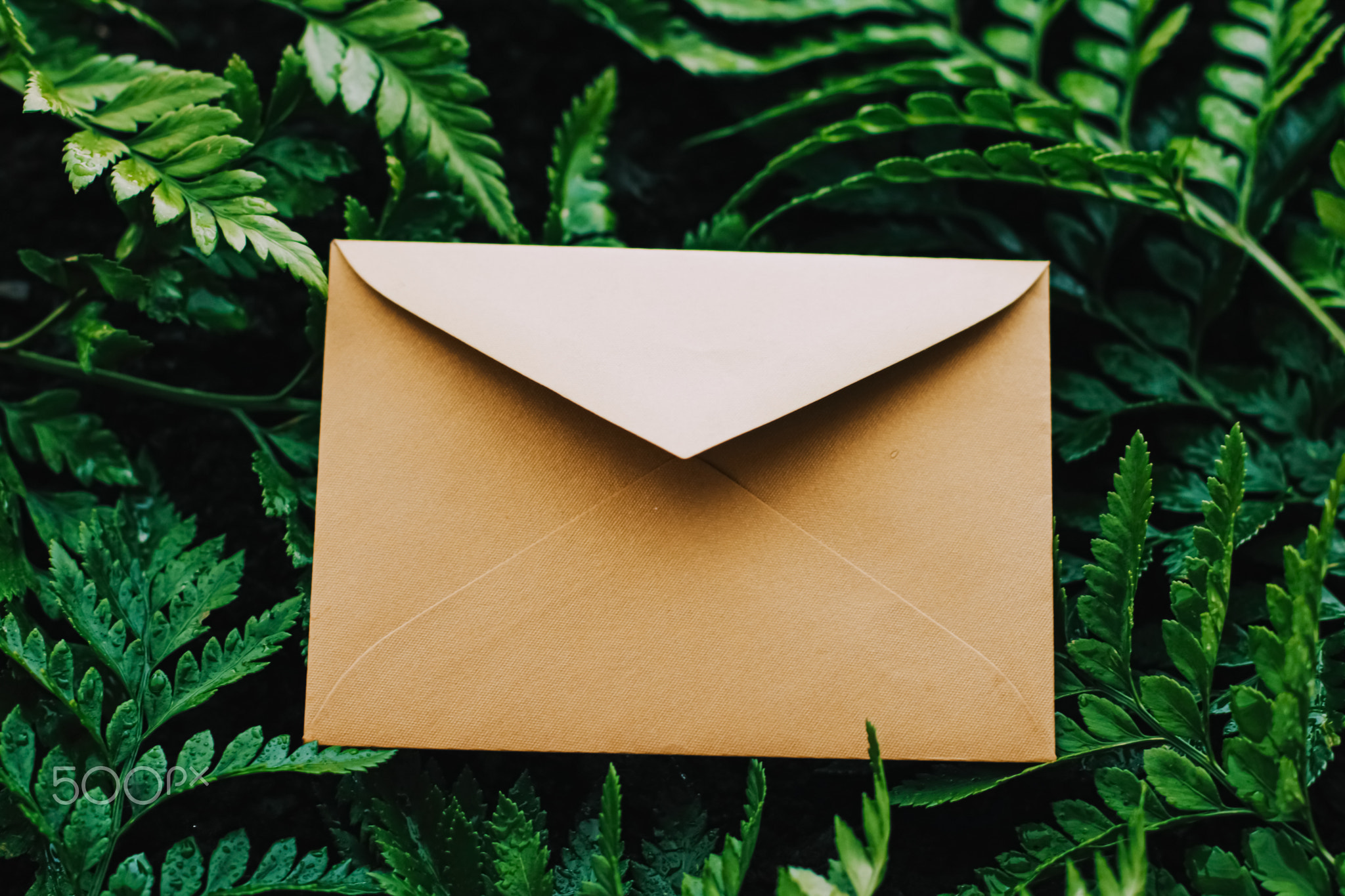 Blank envelope and green leaves in nature, paper card as background