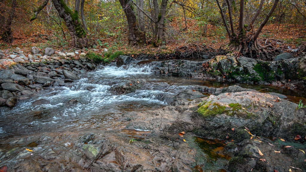 At the local river by Milen Mladenov on 500px.com