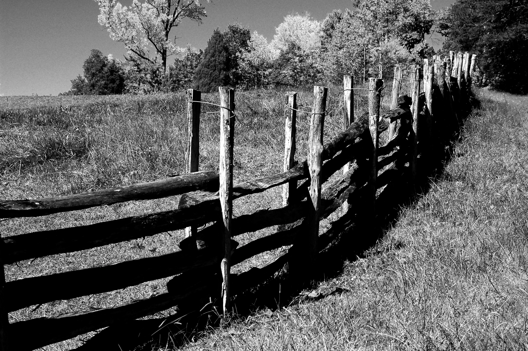 Fence