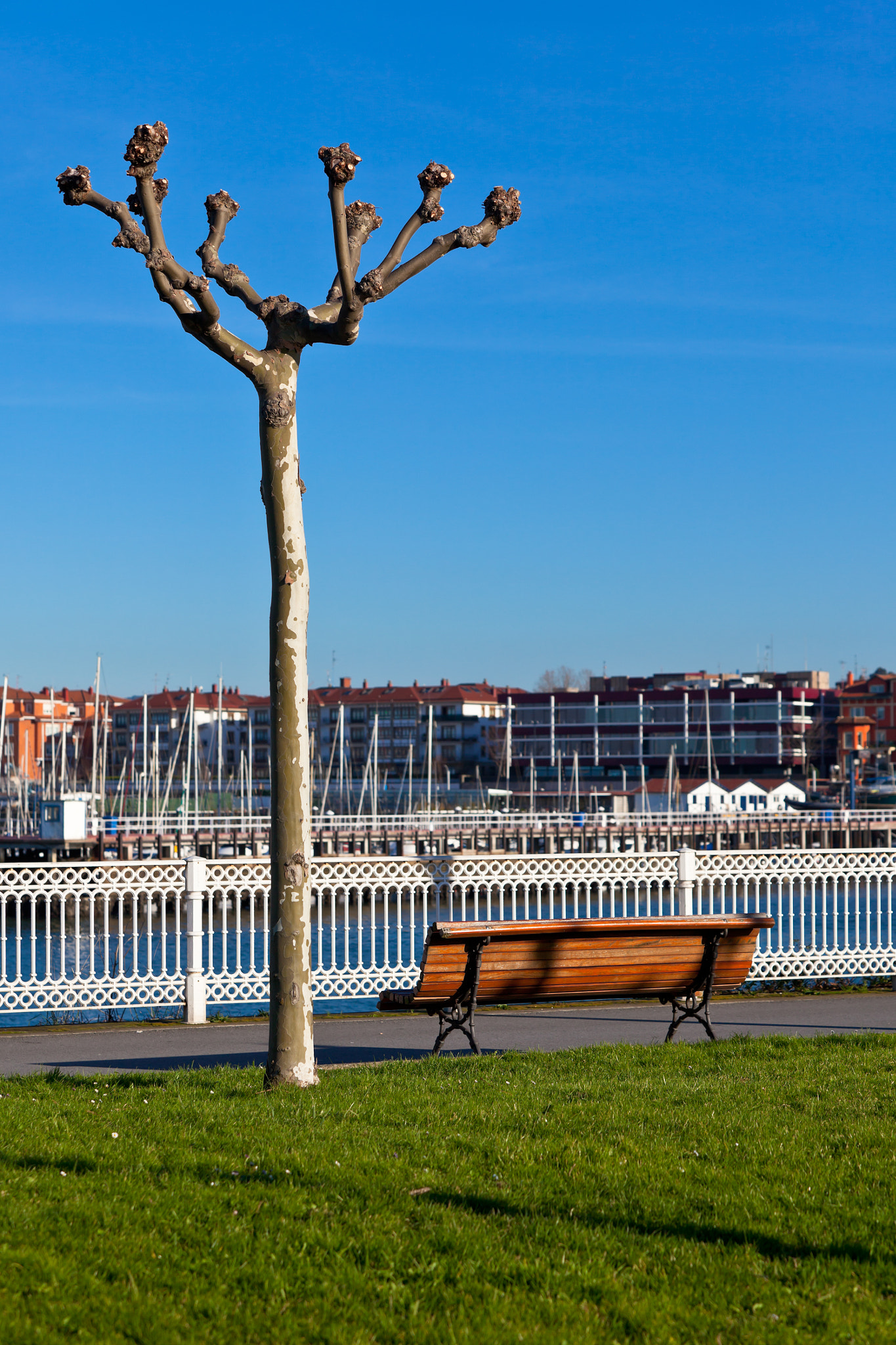 Empty wooden park bench with Marina View