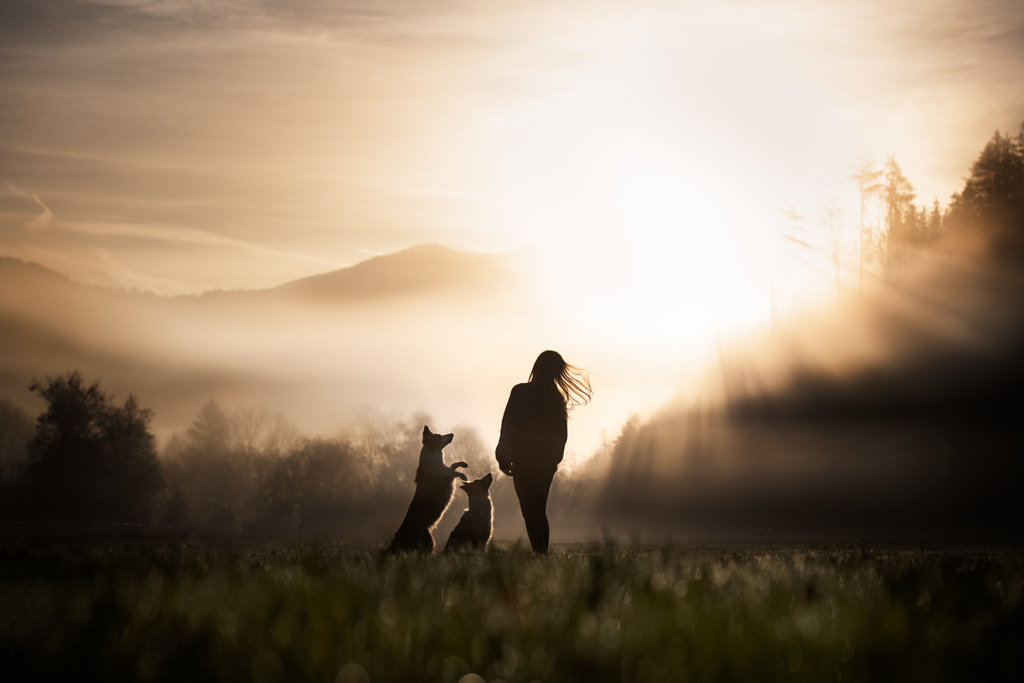 Silhouette fille avec deux chiens debout sur le terrain contre le ciel et les montagnes pendant le lever du soleil par Iza ?yso ?  sur 500px.com