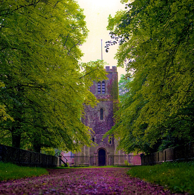 English Village Lane by Ron Fredericks / 500px