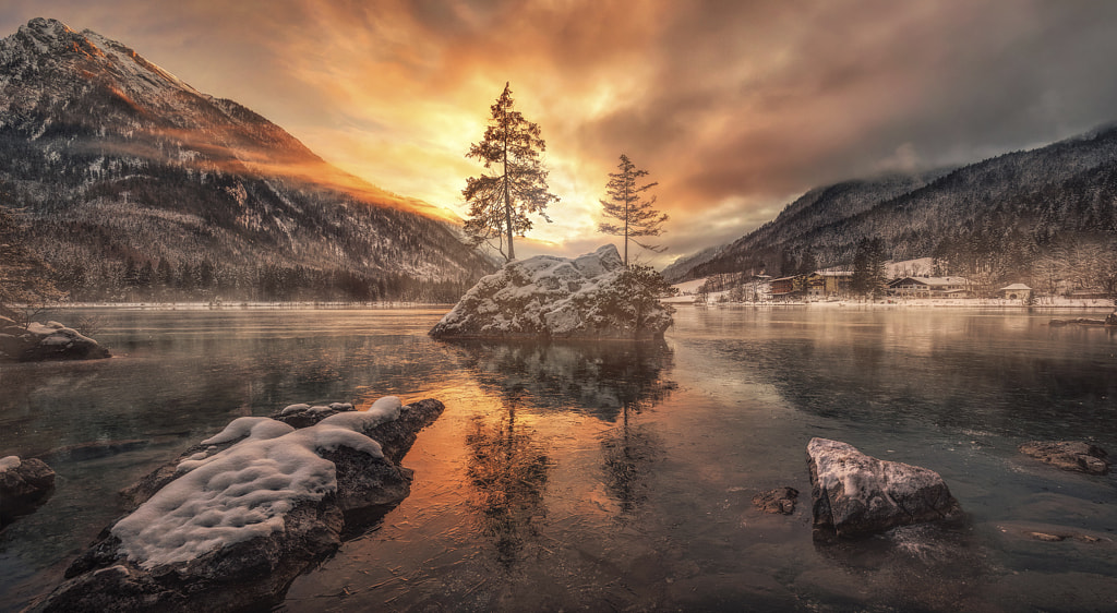 Burning trees by Casey Bachmeyer / 500px