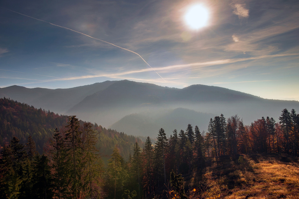 autumn sun by Peter Orlický / 500px