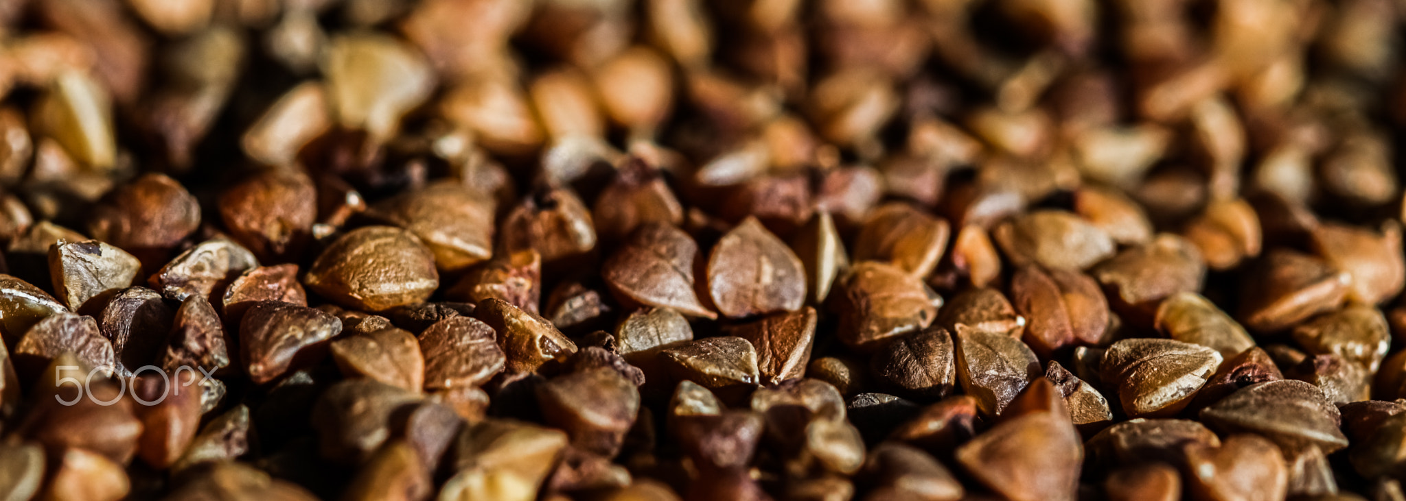 Buckwheat grain closeup, food texture and cook book background