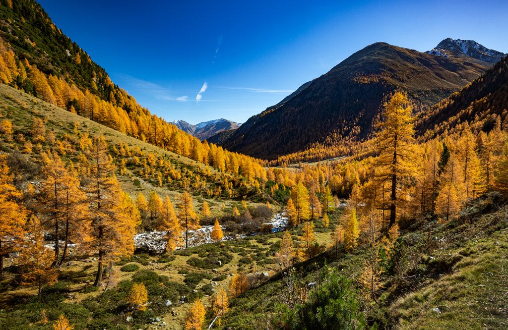 Valley of Gold by Thomas Castelberg / 500px