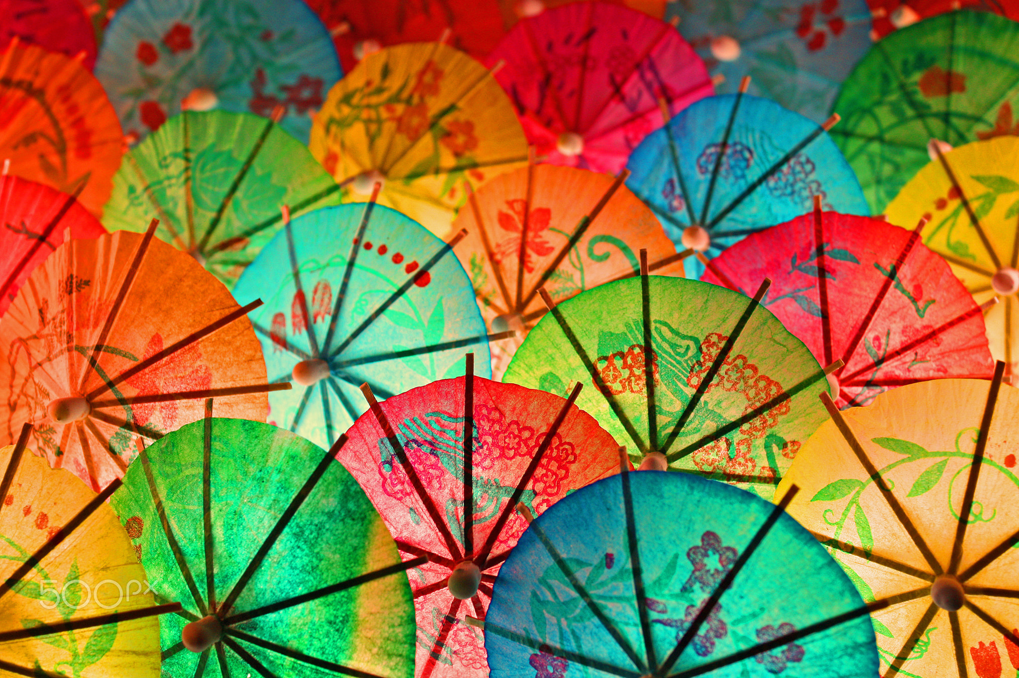Umbrellita