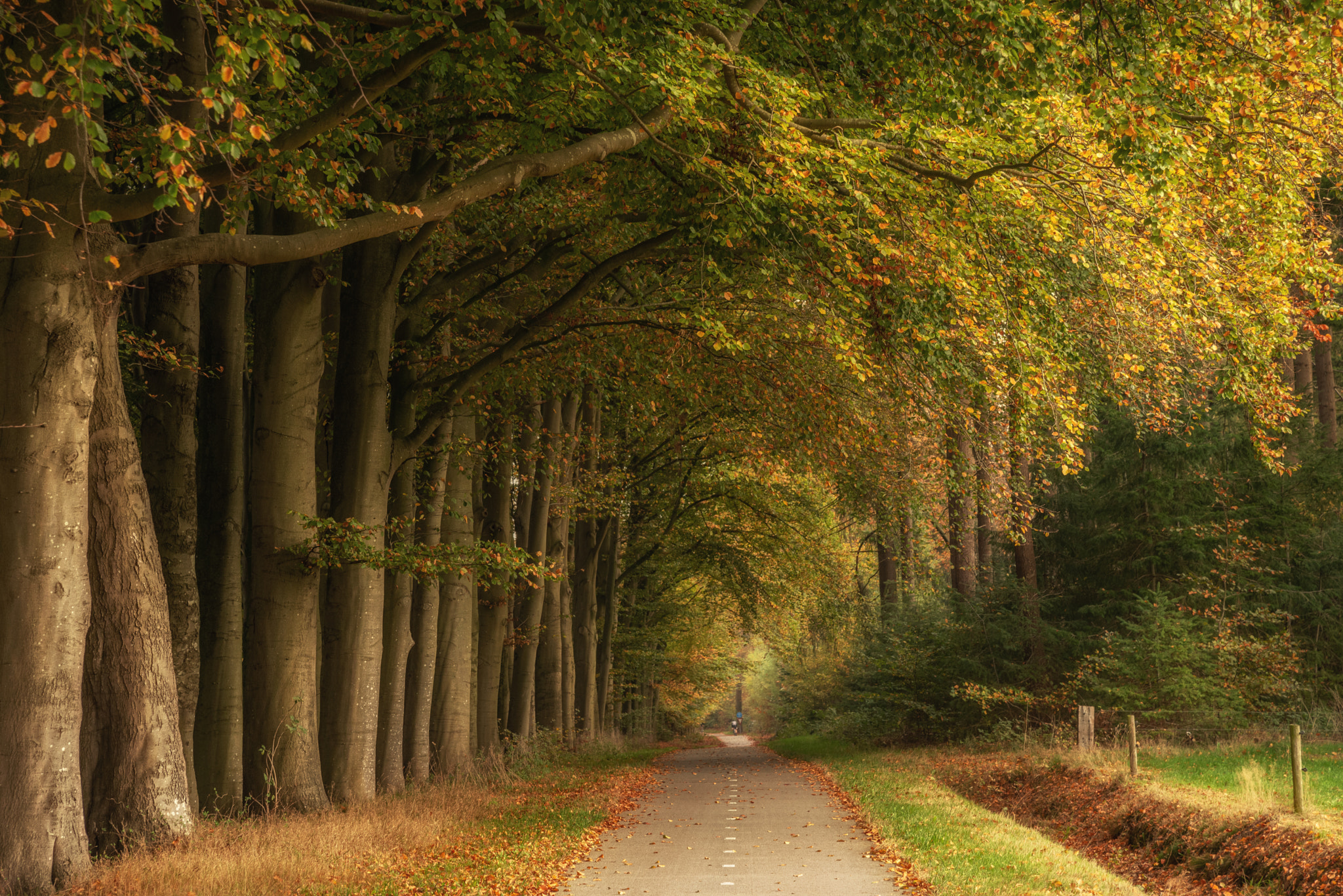 Rechterense veld by Benno Beuwer / 500px