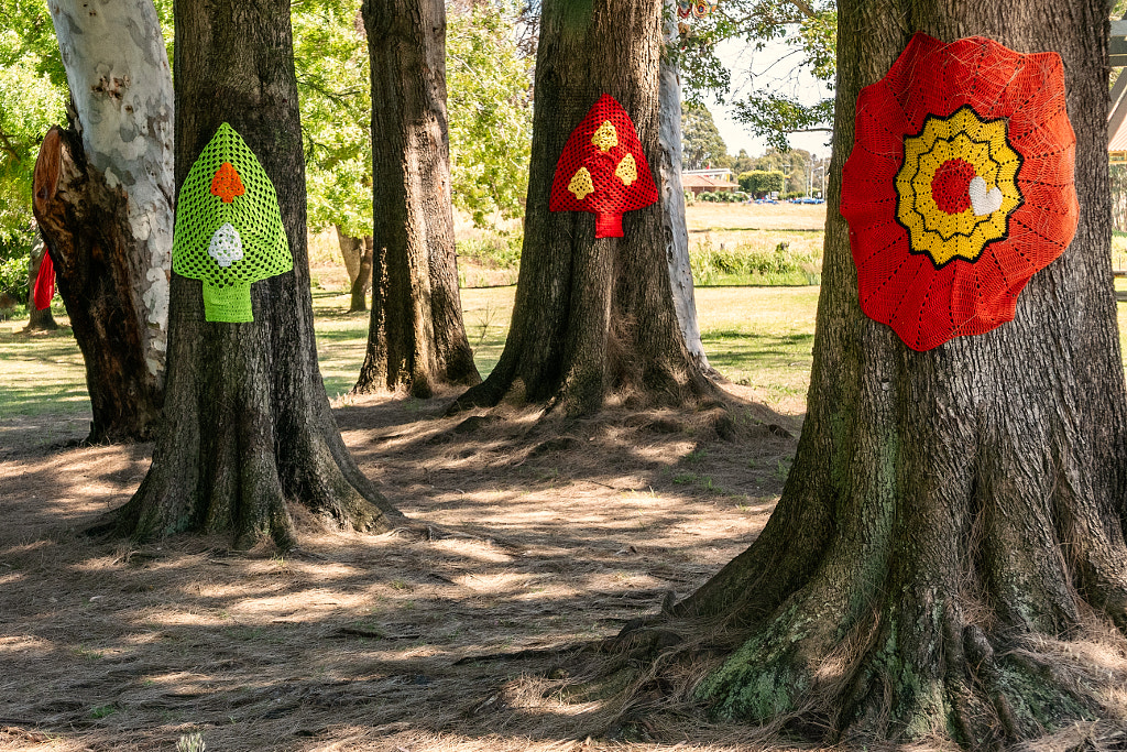 Waroona by Paul Amyes on 500px.com